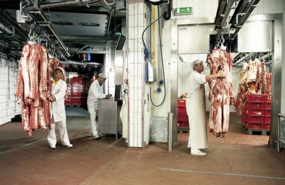 อุตสาหกรรมการแปรรูปเนื้อสัตว์ Meat Industry
