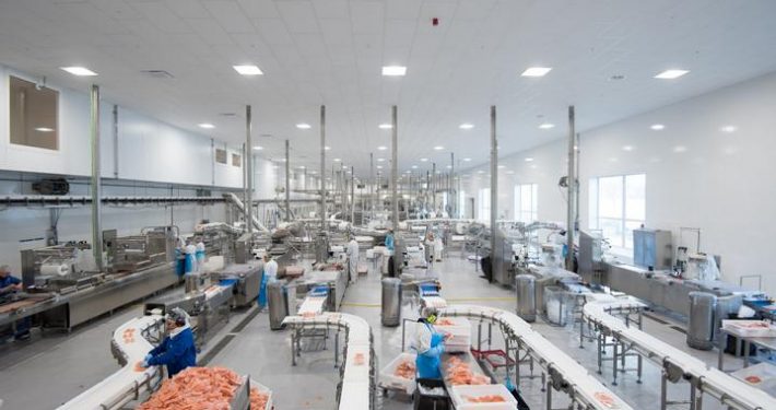 อุตสาหกรรมแปรรูปอาหารทะเล Fish and Seafood Industry